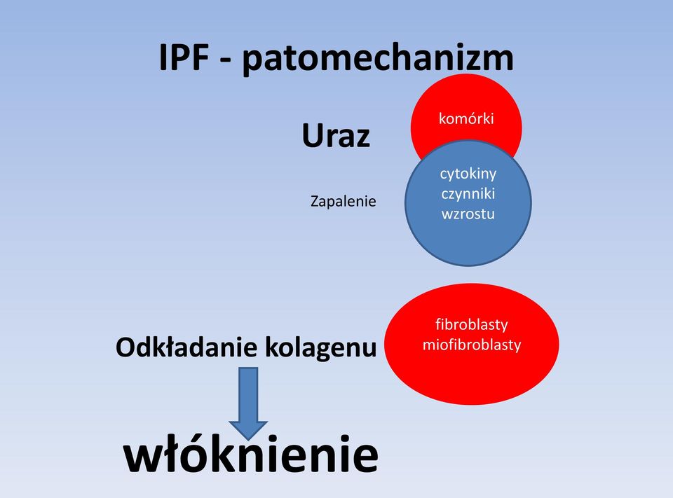 czynniki wzrostu Odkładanie