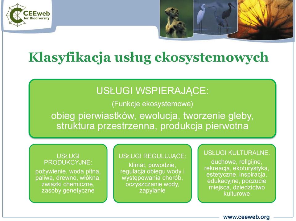 zasoby genetyczne USŁUGI REGULUJĄCE: klimat, powodzie, regulacja obiegu wody i występowania chorób, oczyszczanie wody, zapylanie