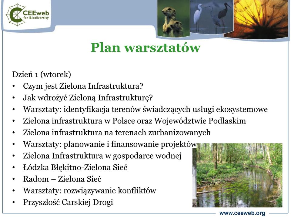 Podlaskim Zielona infrastruktura na terenach zurbanizowanych Warsztaty: planowanie i finansowanie projektów Zielona