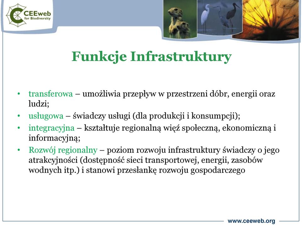 ekonomiczną i informacyjną; Rozwój regionalny poziom rozwoju infrastruktury świadczy o jego