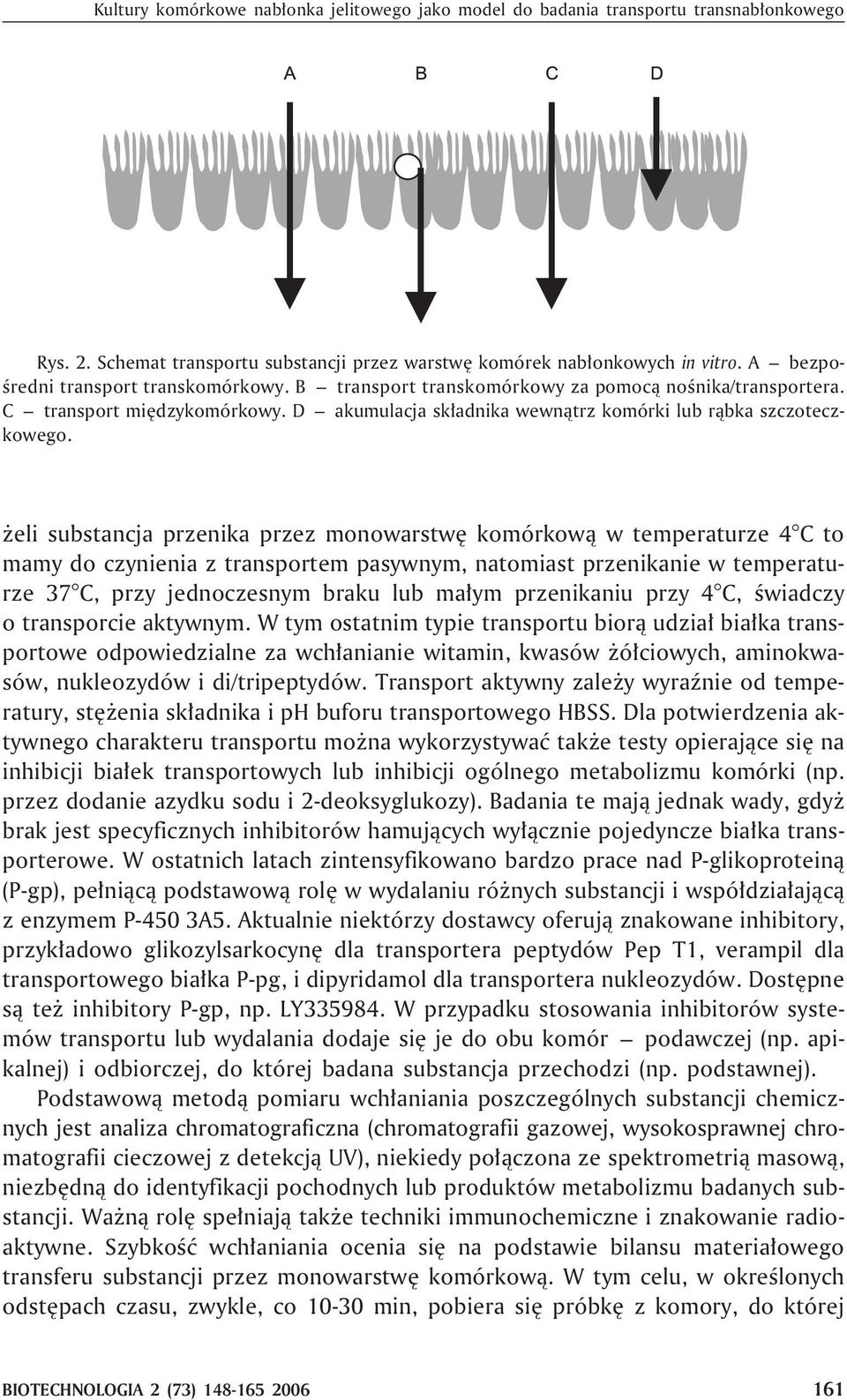 eli substancja przenika przez monowarstwê komórkow¹ w temperaturze 4 C to mamy do czynienia z transportem pasywnym, natomiast przenikanie w temperaturze 37 C, przy jednoczesnym braku lub ma³ym