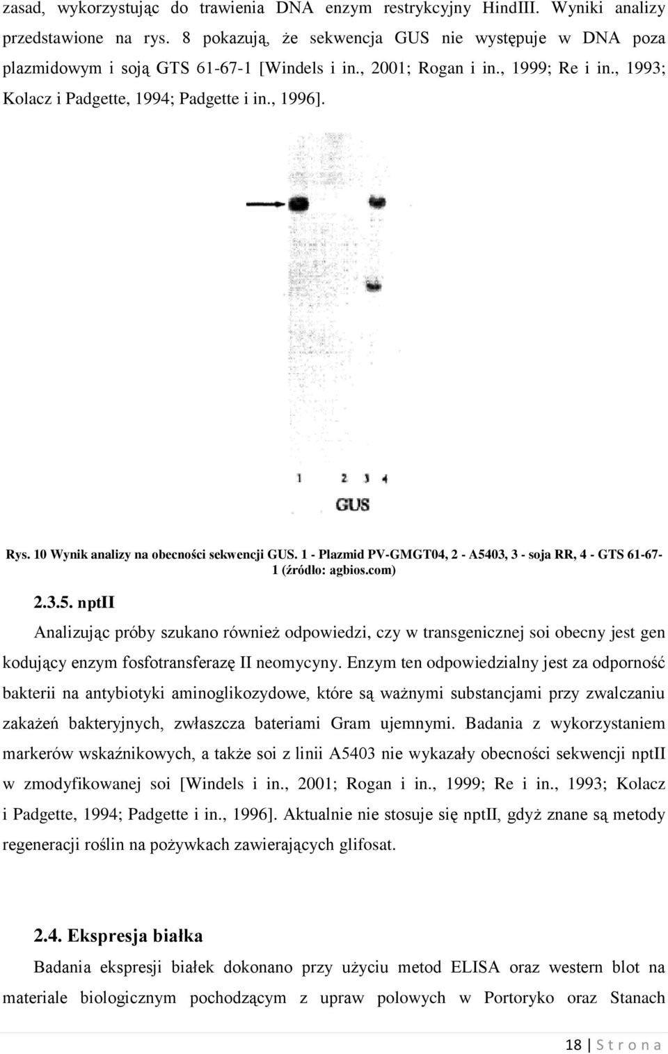 10 Wynik analizy na obecności sekwencji GUS. 1 - Plazmid PV-GMGT04, 2 - A54