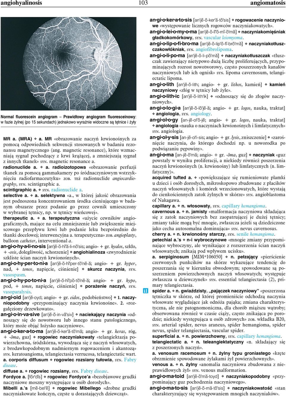 magnetic resonance), które wzmacniają sygnał pochodzący z krwi krążącej, a zmniejszają sygnał z innych tkanek» syn. magnetic resonance a. radionuclide a. a. radioizotopowa «obrazowanie perfuzji tkanek za pomocą gammakamery po śródnaczyniowym wstrzyknięciu radiofarmaceutyku» zob.