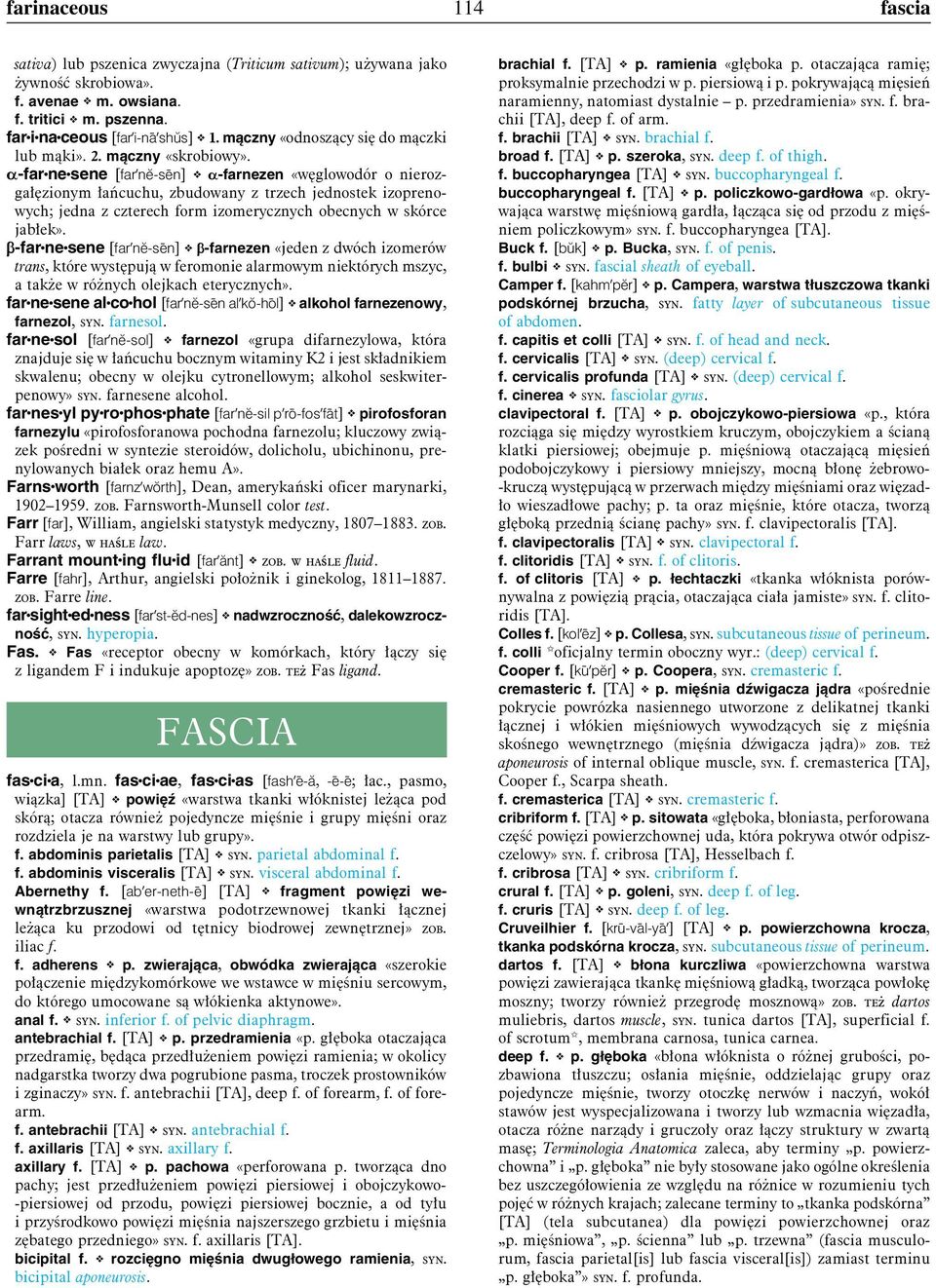 a-far ne sene [far'nĕ-sēn] a-farnezen «węglowodór o nierozgałęzionym łańcuchu, zbudowany z trzech jednostek izoprenowych; jedna z czterech form izomerycznych obecnych w skórce jabłek».