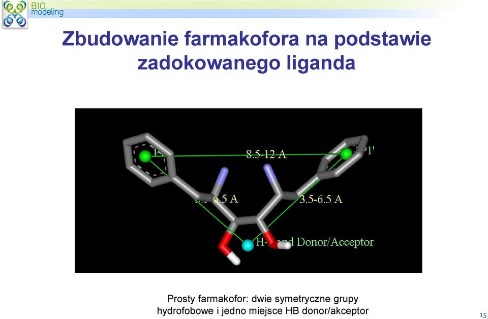 farmakofor: dwie symetryczne grupy