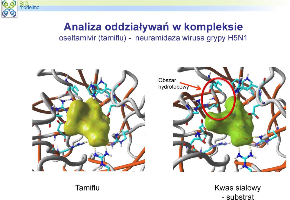 neuramidaza wirusa grypy H5N1