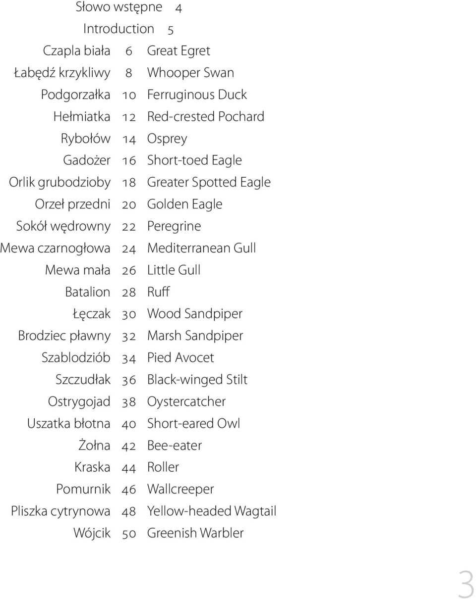 mała 26 Little Gull Batalion 28 Ruff Łęczak 30 Wood Sandpiper Brodziec pławny 32 Marsh Sandpiper Szablodziób 34 Pied Avocet Szczudłak 36 Black-winged Stilt Ostrygojad 38