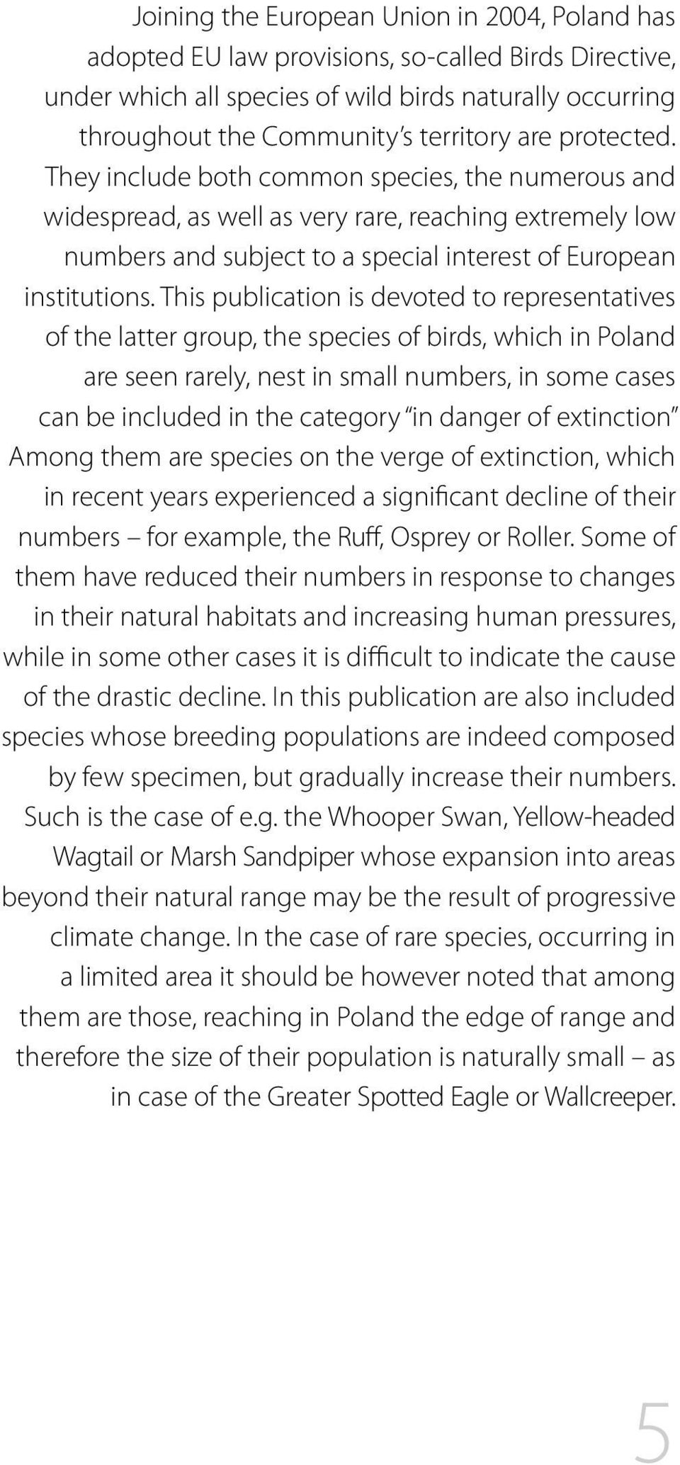 This publication is devoted to representatives of the latter group, the species of birds, which in Poland are seen rarely, nest in small numbers, in some cases can be included in the category in