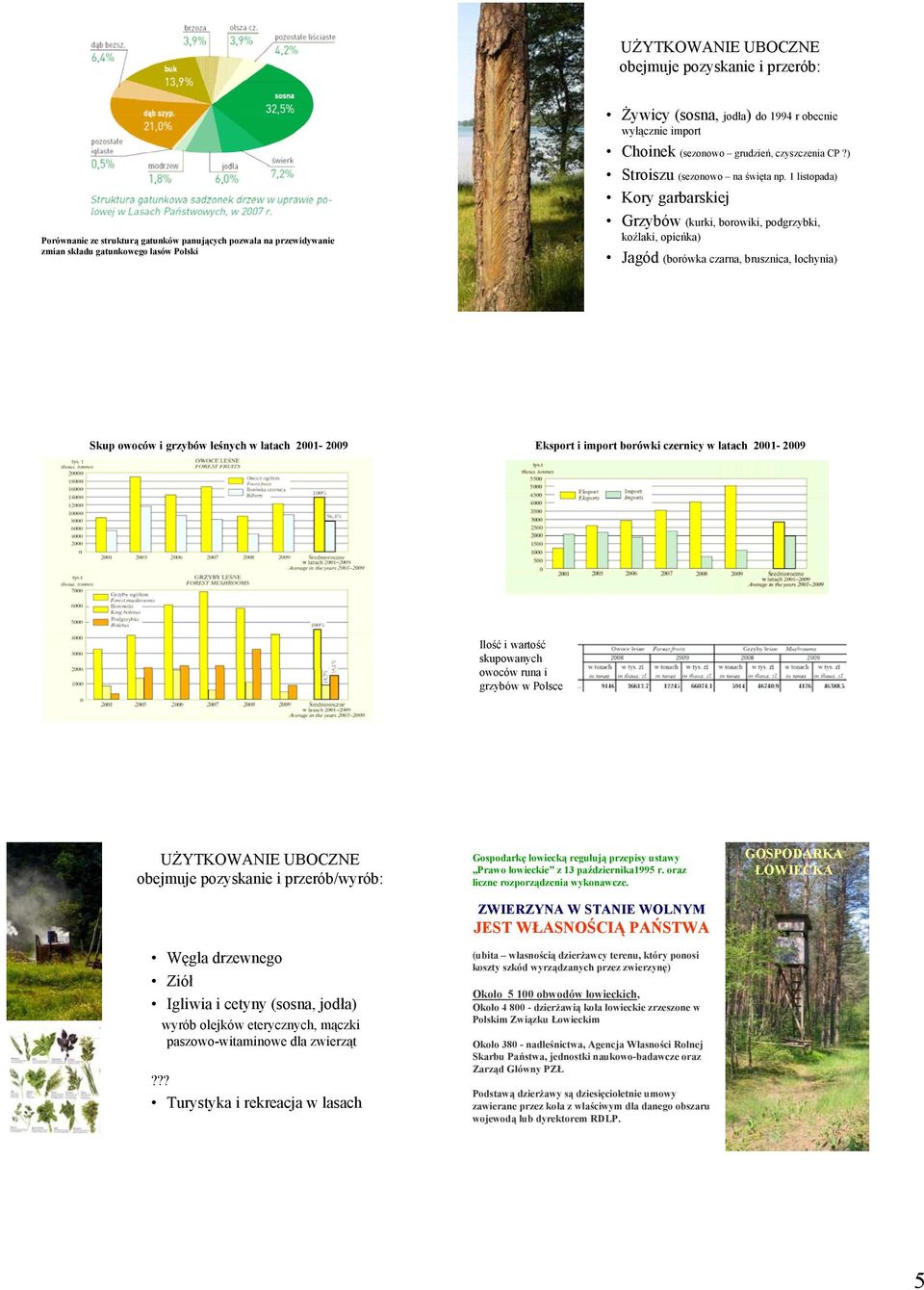 1 listopada) Kory garbarskiej Grzybów (kurki, borowiki, podgrzybki, koźlaki, opieńka) Jagód (borówka czarna, brusznica, łochynia) Skup owoców i grzybów leśnych w latach 2001-2009 Eksport i import