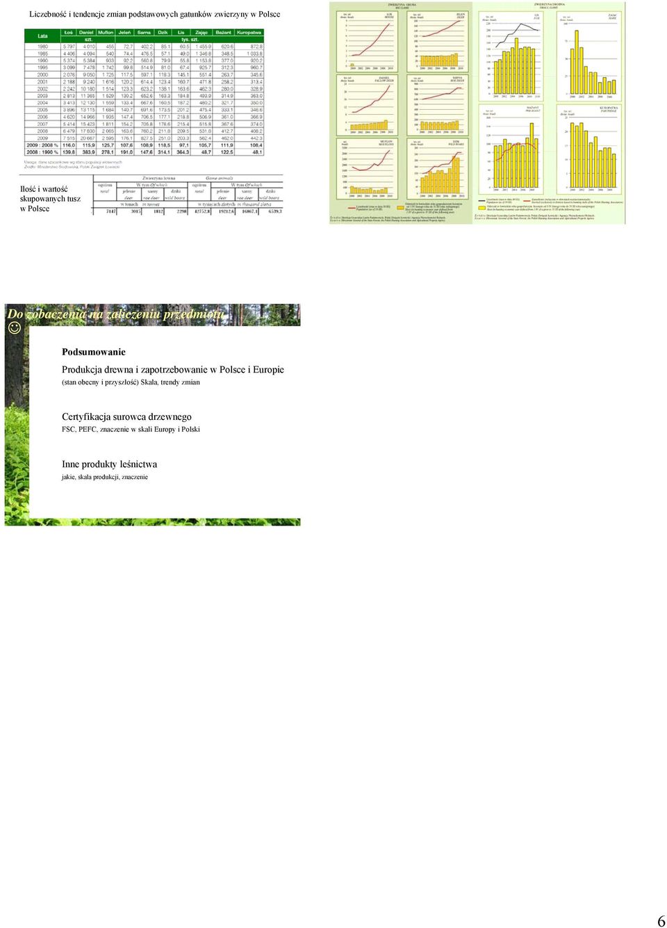 przedmiotu Podsumowanie Skala, trendy zmian FSC, PEFC, znaczenie w