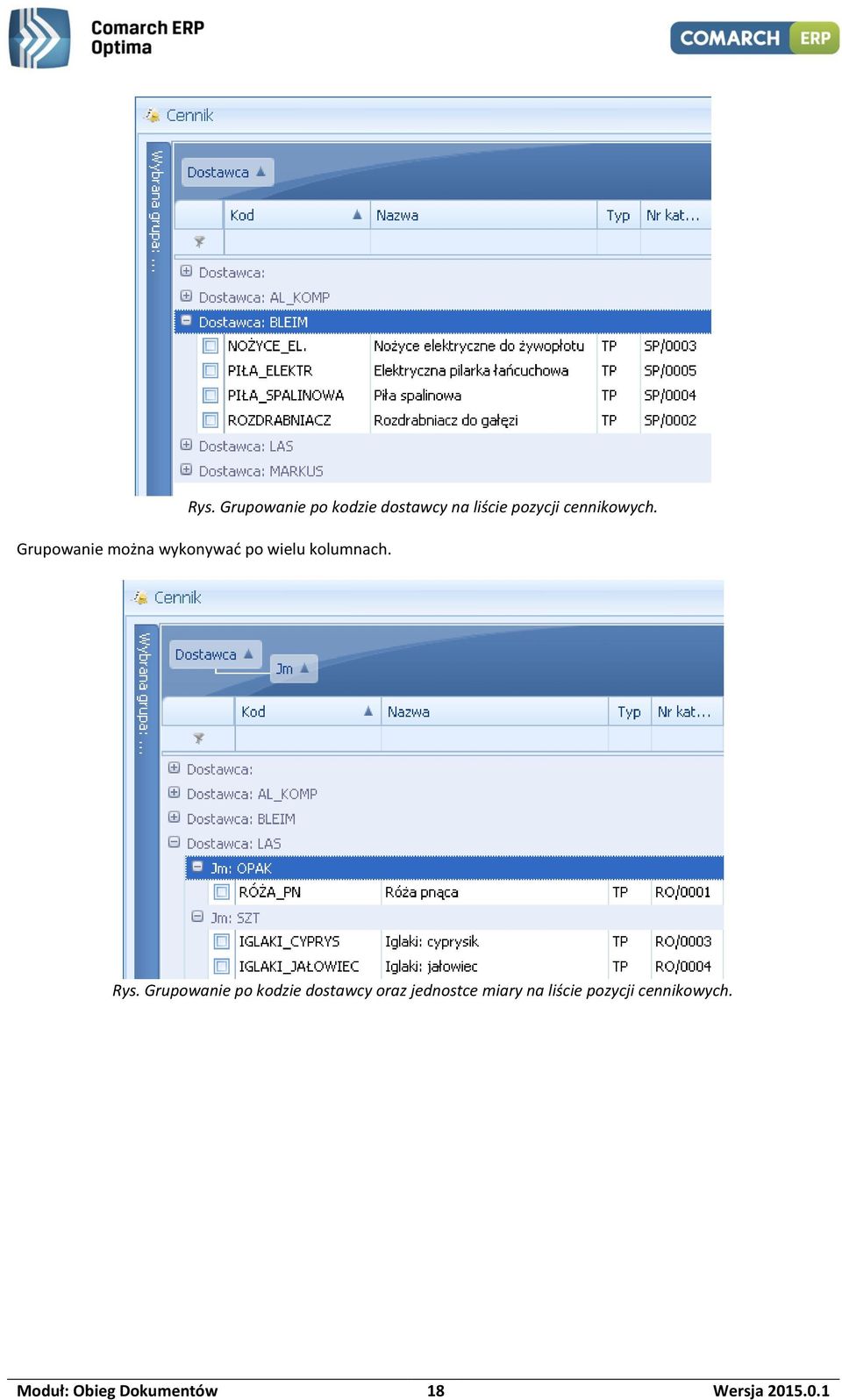 Rys. Grupowanie po kodzie dostawcy oraz jednostce miary na