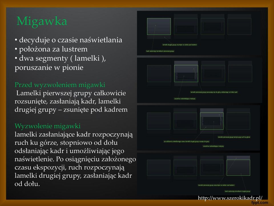 migawki lamelki zasłaniające kadr rozpoczynają ruch ku górze, stopniowo od dołu odsłaniając kadr i umożliwiając jego