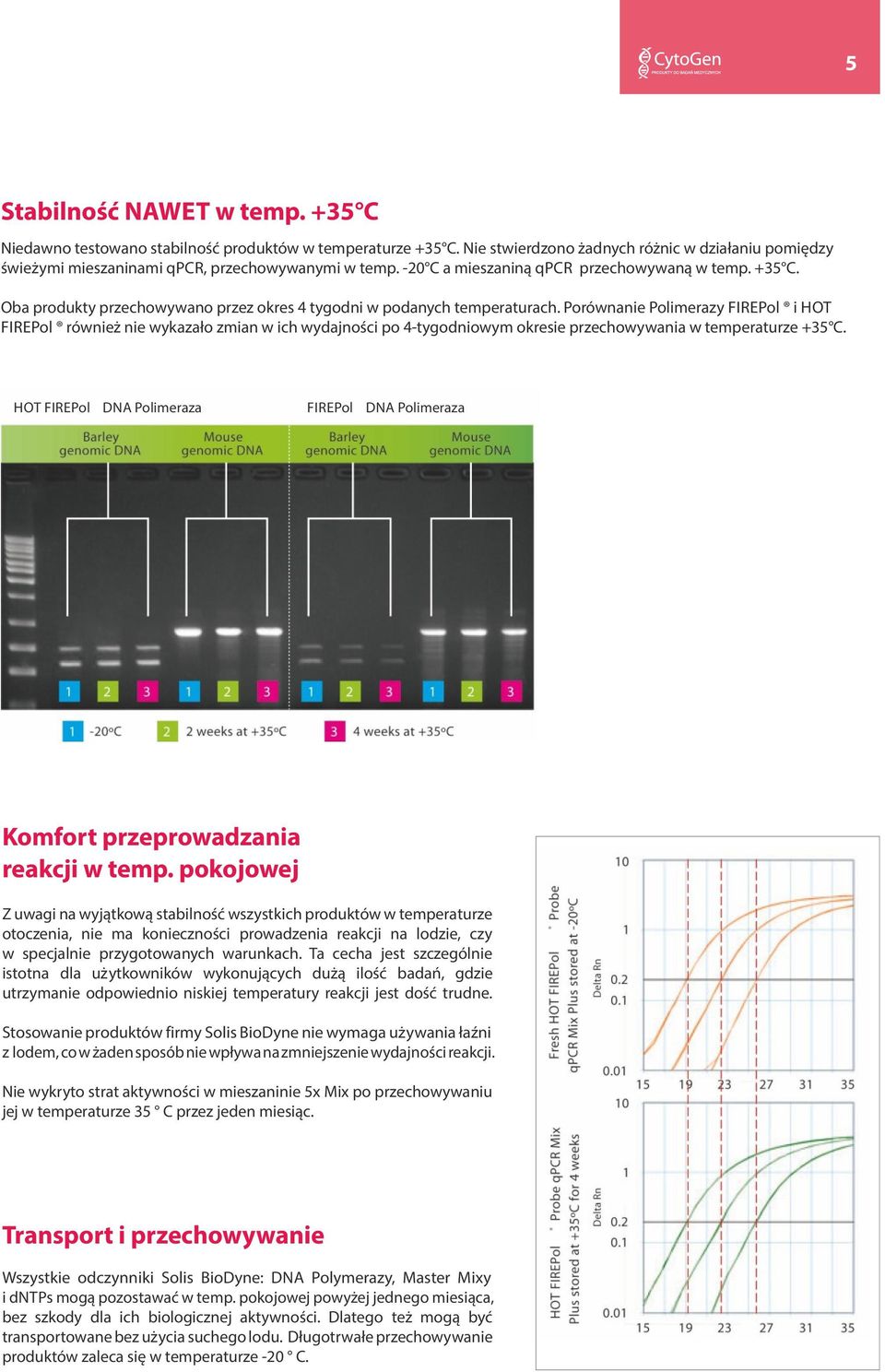 Porównanie Polimerazy FIREPol i HOT FIREPol również nie wykazało zmian w ich wydajności po 4-tygodniowym okresie przechowywania w temperaturze +35 C.