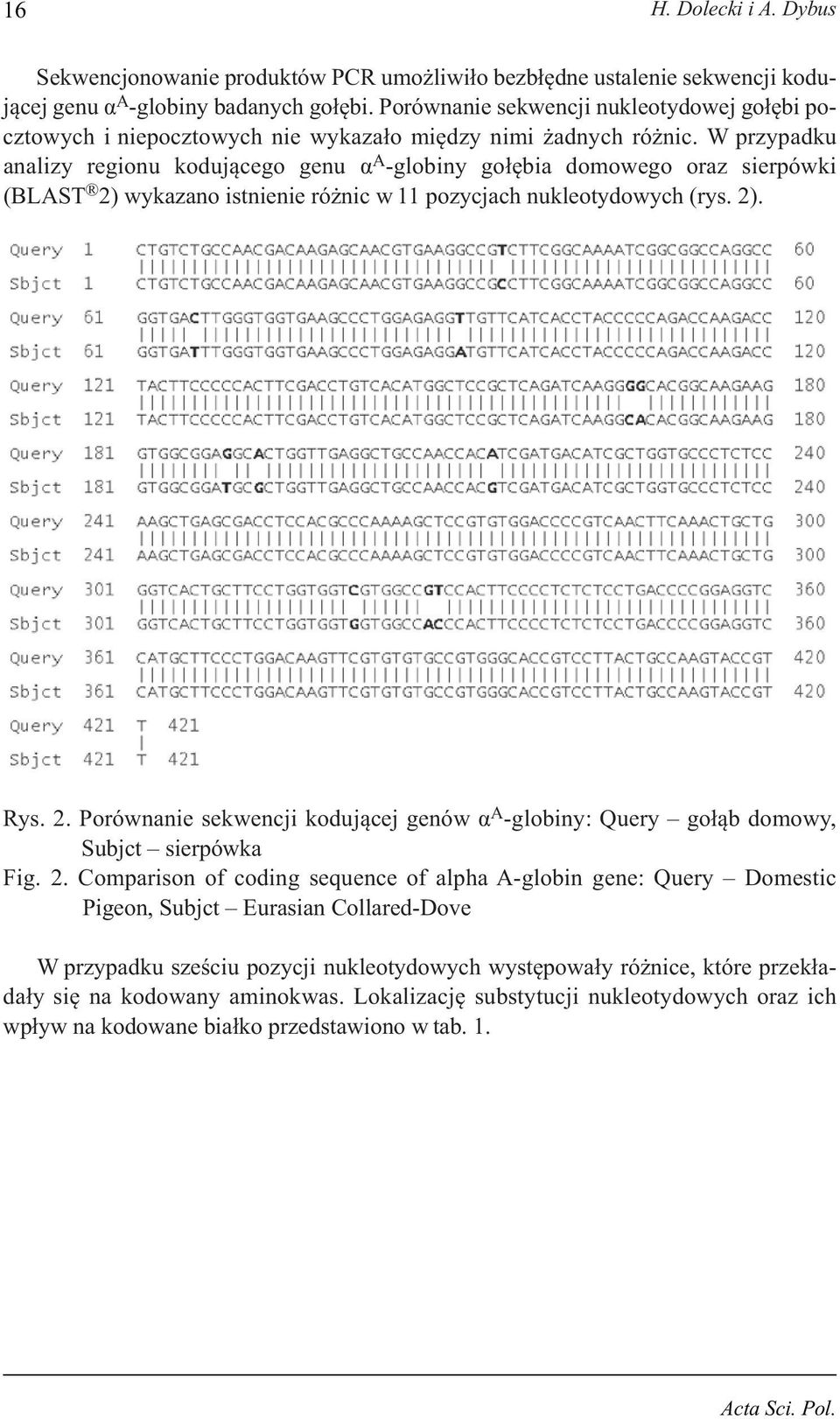 W przypadku analizy regionu kodującego genu α A -globiny gołębia domowego oraz sierpówki (BLAST 2) wykazano istnienie różnic w 11 pozycjach nukleotydowych (rys. 2). Rys. 2. Porównanie sekwencji kodującej genów α A -globiny: Query gołąb domowy, Subjct sierpówka Fig.