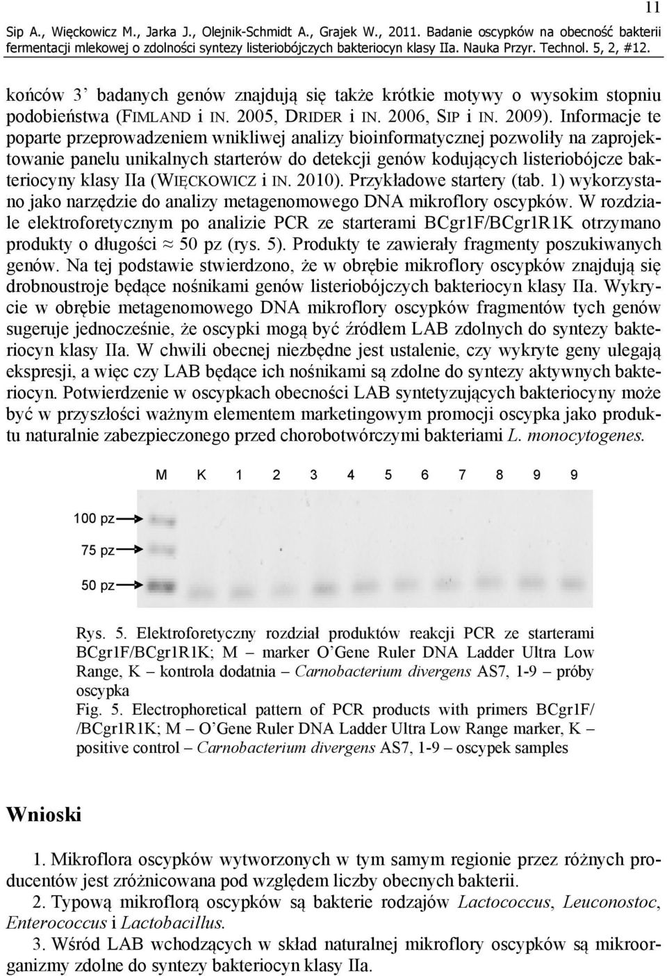 Informacje te poparte przeprowadzeniem wnikliwej analizy bioinformatycznej pozwoliły na zaprojektowanie panelu unikalnych starterów do detekcji genów kodujących listeriobójcze bakteriocyny klasy IIa