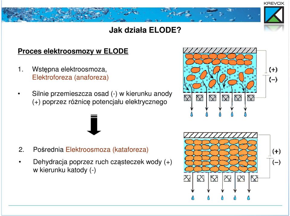 (-) w kierunku anody (+) poprzez różnicę potencjału elektrycznego 2.