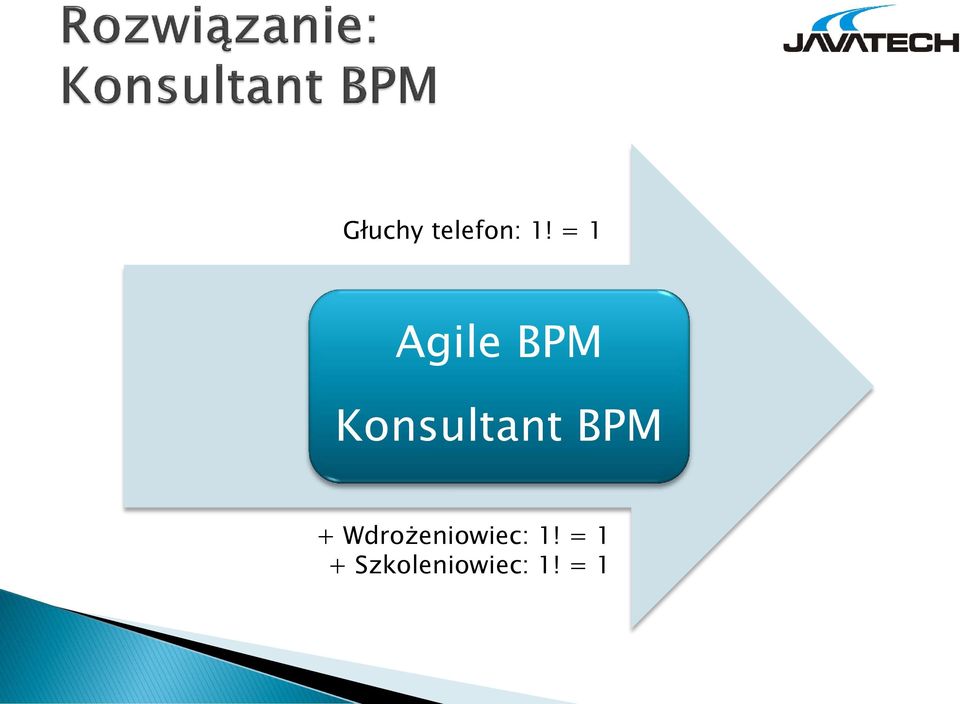 Konsultant BPM +