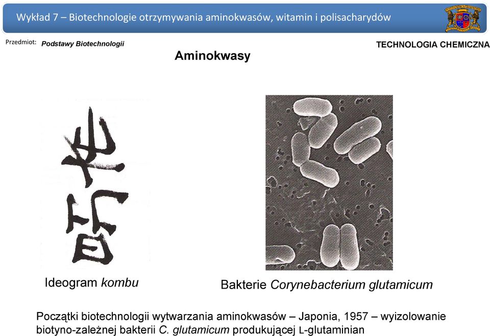 aminokwasów Japonia, 1957 wyizolowanie