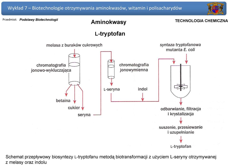 przepływowy biosyntezy L-tryptofanu metodą