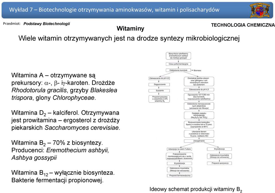 Witamina D 2 kalciferol. Otrzymywana jest prowitamina ergosterol z drożdży piekarskich Saccharomyces cerevisiae. Witamina B 2 70% z biosyntezy.