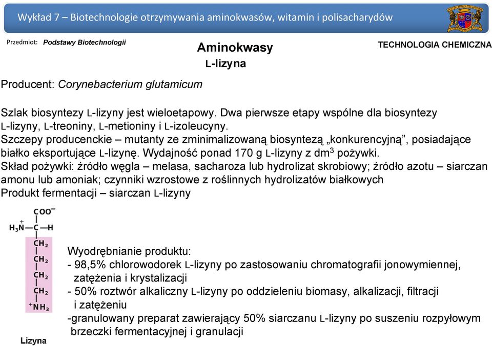 Szczepy producenckie mutanty ze zminimalizowaną biosyntezą konkurencyjną, posiadające białko eksportujące L-lizynę. Wydajność ponad 170 g L-lizyny z dm 3 pożywki.