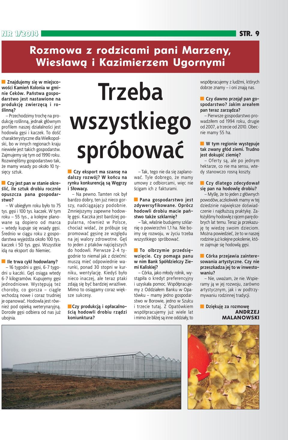 To dość charakterystyczne dla Wielkopolski, bo w innych regionach kraju niewiele jest takich gospodarstw. Zajmujemy się tym od 1990 roku.