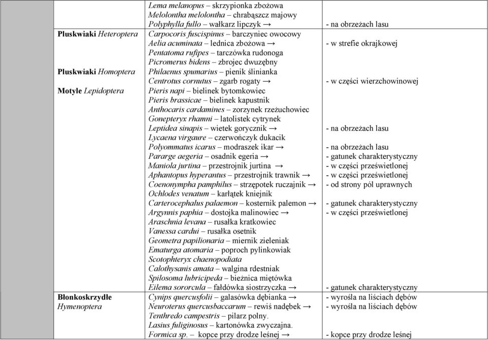 cornutus zgarb rogaty Pieris napi bielinek bytomkowiec Pieris brassicae bielinek kapustnik Anthocaris cardamines zorzynek rzeżuchowiec Gonepteryx rhamni latolistek cytrynek Leptidea sinapis wietek