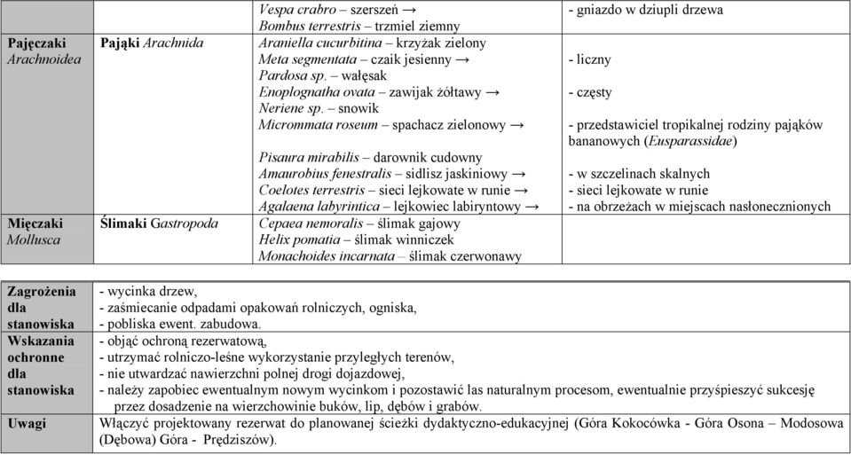 snowik Micrommata roseum spachacz zielonowy Pisaura mirabilis darownik cudowny Amaurobius fenestralis sidlisz jaskiniowy Coelotes terrestris sieci lejkowate w runie Agalaena labyrintica lejkowiec