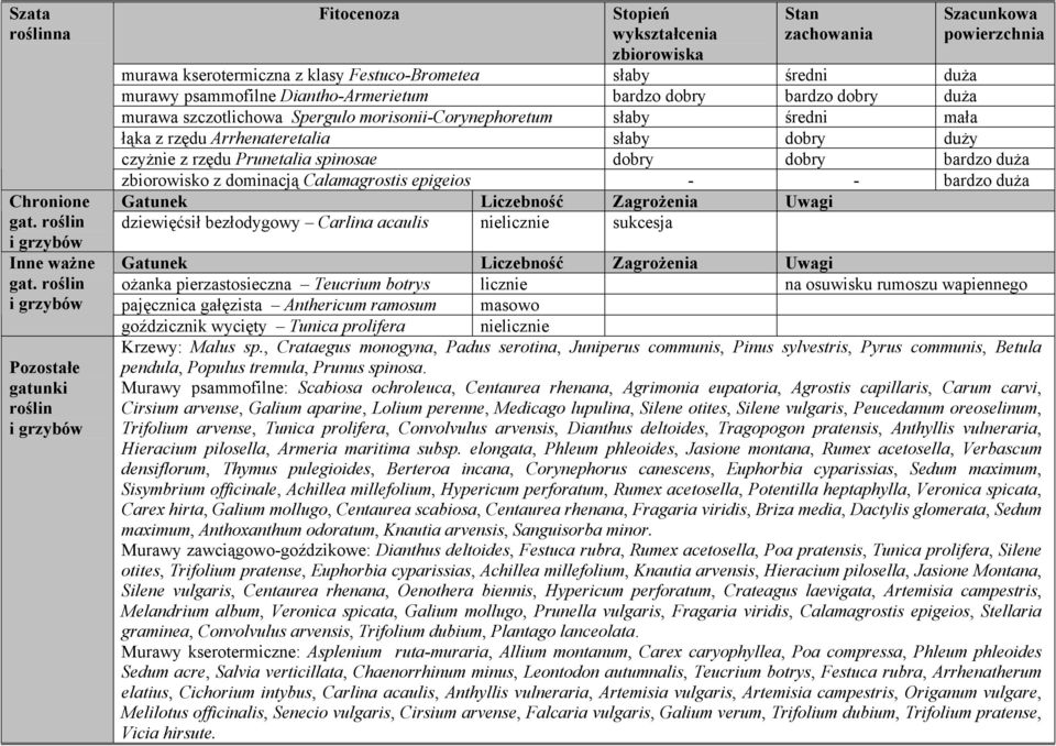 duża murawy psammofilne Diantho-Armerietum bardzo dobry bardzo dobry duża murawa szczotlichowa Spergulo morisonii-corynephoretum słaby średni mała łąka z rzędu Arrhenateretalia słaby dobry duży