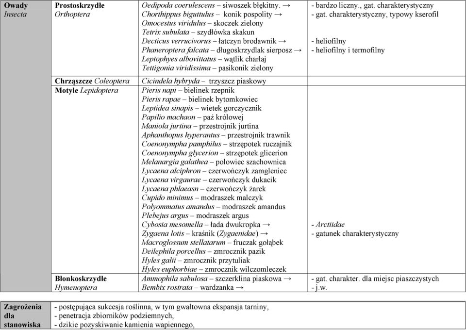 Leptophyes albovittatus wątlik charłaj Tettigonia viridissima pasikonik zielony Chrząszcze Coleoptera Cicindela hybryda trzyszcz piaskowy Motyle Lepidoptera Pieris napi bielinek rzepnik Pieris rapae