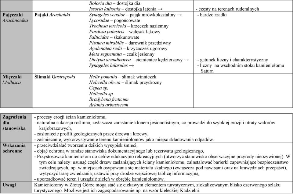 Dictyna arundinacea ciemieniec kędzierzawy Synageles hilarulus Helix pomatia ślimak winniczek Helicella obwia ślimak przydrożny Cepea sp. Helicella sp.