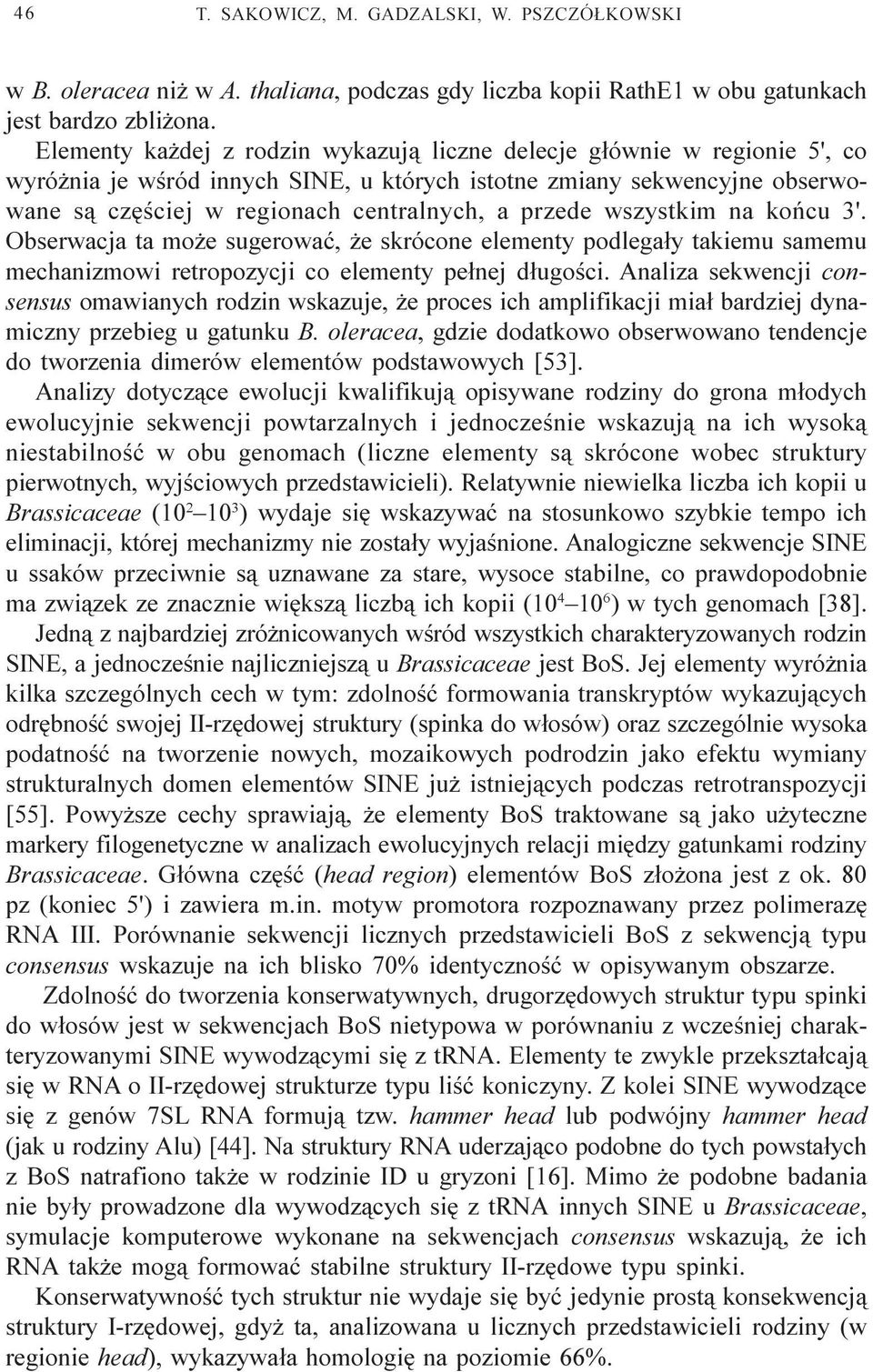 przede wszystkim na koñcu 3'. Obserwacja ta mo e sugerowaæ, e skrócone elementy podlega³y takiemu samemu mechanizmowi retropozycji co elementy pe³nej d³ugoœci.