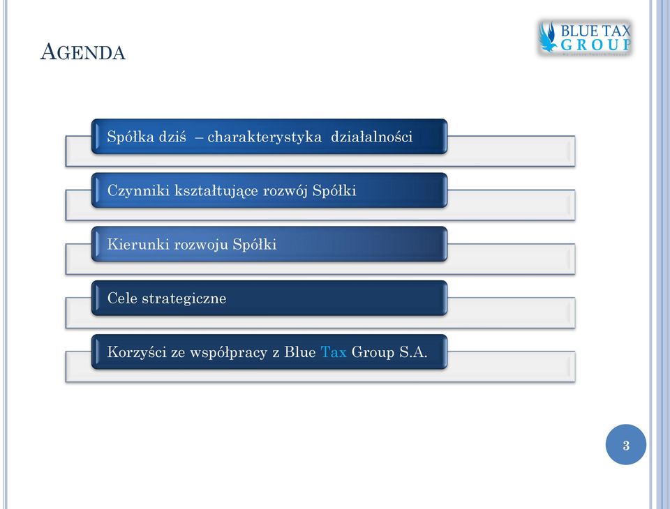 Spółki Kierunki rozwoju Spółki Cele