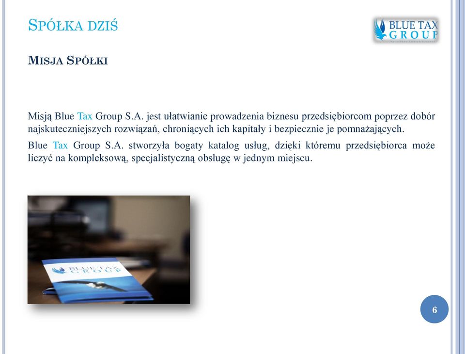 SPÓŁKI Misją Blue Tax Group S.A.