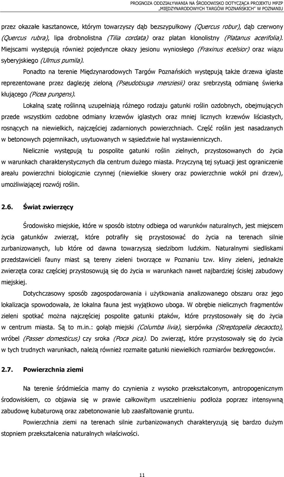 Ponadto na terenie Międzynarodowych Targów Poznańskich występują takŝe drzewa iglaste reprezentowane przez daglezję zieloną (Pseudotsuga menziesii) oraz srebrzystą odmianę świerka kłującego (Picea