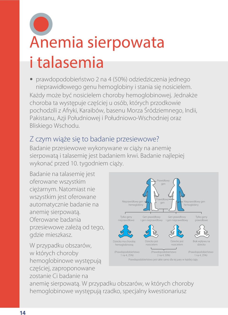 Wschodu. Z czym wiąże się to badanie przesiewowe? Badanie przesiewowe wykonywane w ciąży na anemię sierpowatą i talasemię jest badaniem krwi. Badanie najlepiej wykonać przed 10. tygodniem ciąży.