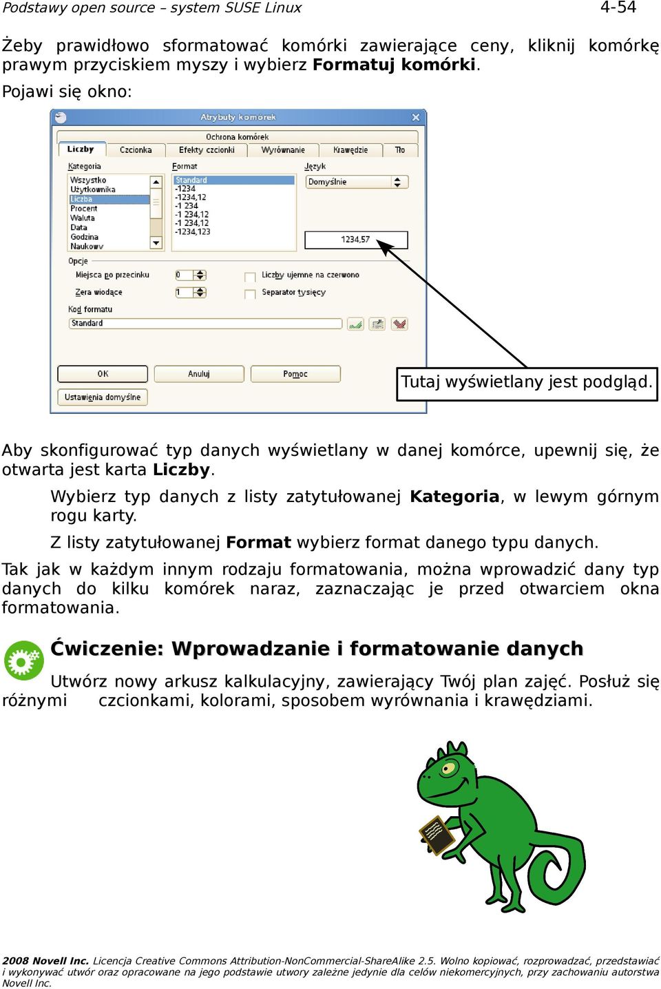 Z listy zatytułowanej Format wybierz format danego typu danych.