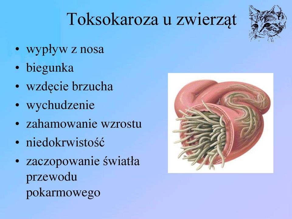 zwierząt zahamowanie wzrostu