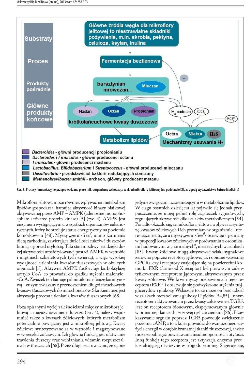 metabolizm lipidów gospodarza, hamując aktywność kinazy białkowej aktywowanej przez AMP AMPK (adenosine monophosphate activated protein kinase) [5] (ryc. 4).