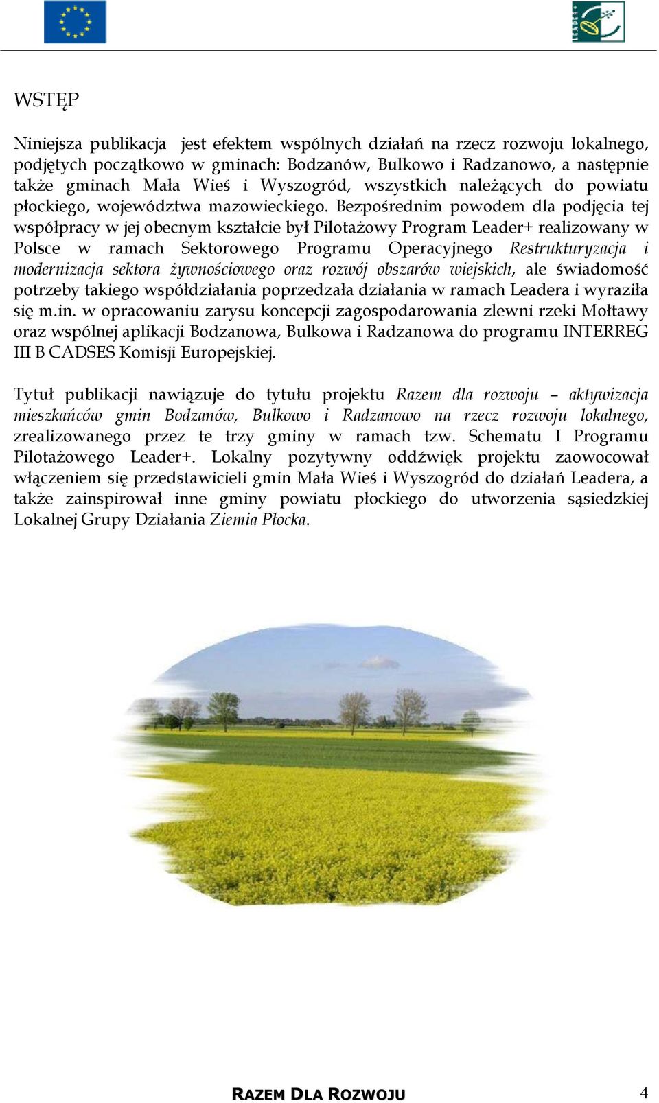 Bezpośrednim powodem dla podjęcia tej współpracy w jej obecnym kształcie był PilotaŜowy Program Leader+ realizowany w Polsce w ramach Sektorowego Programu Operacyjnego Restrukturyzacja i modernizacja