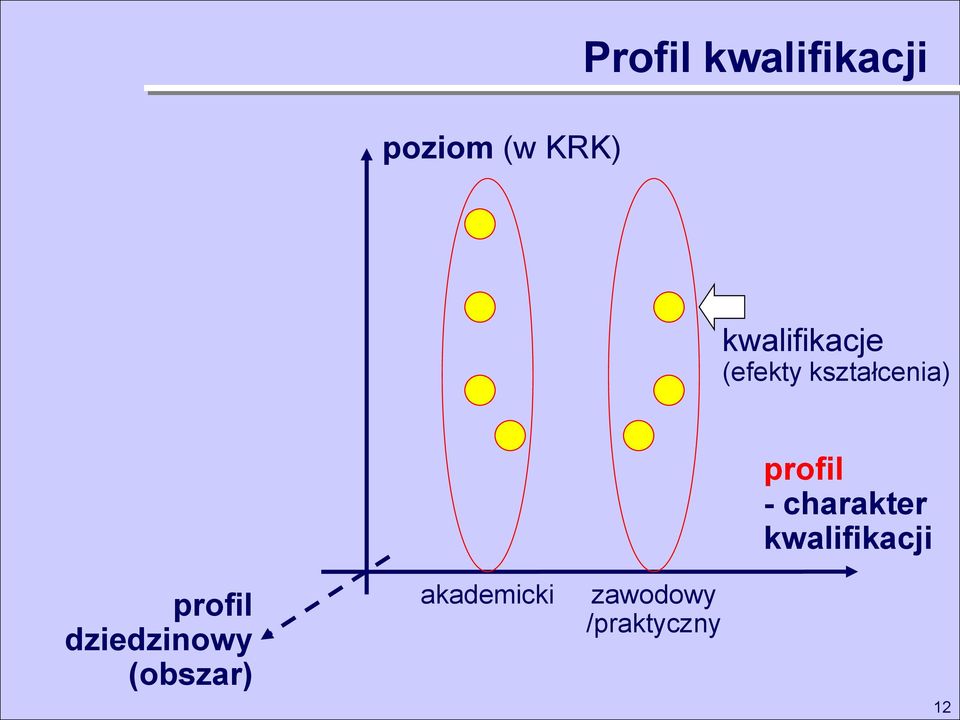 - charakter kwalifikacji profil