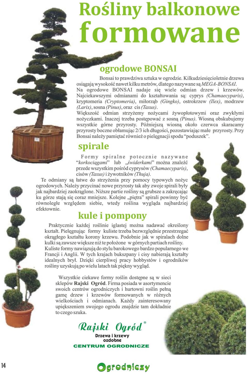 ogrodowe BONSAI