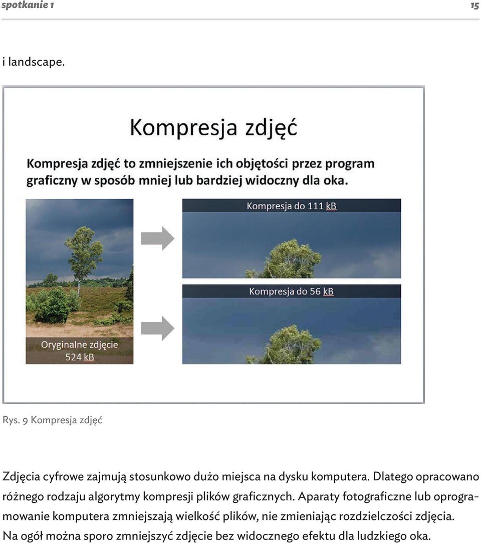 Dlatego opracowano różnego rodzaju algorytmy kompresji plików graficznych.