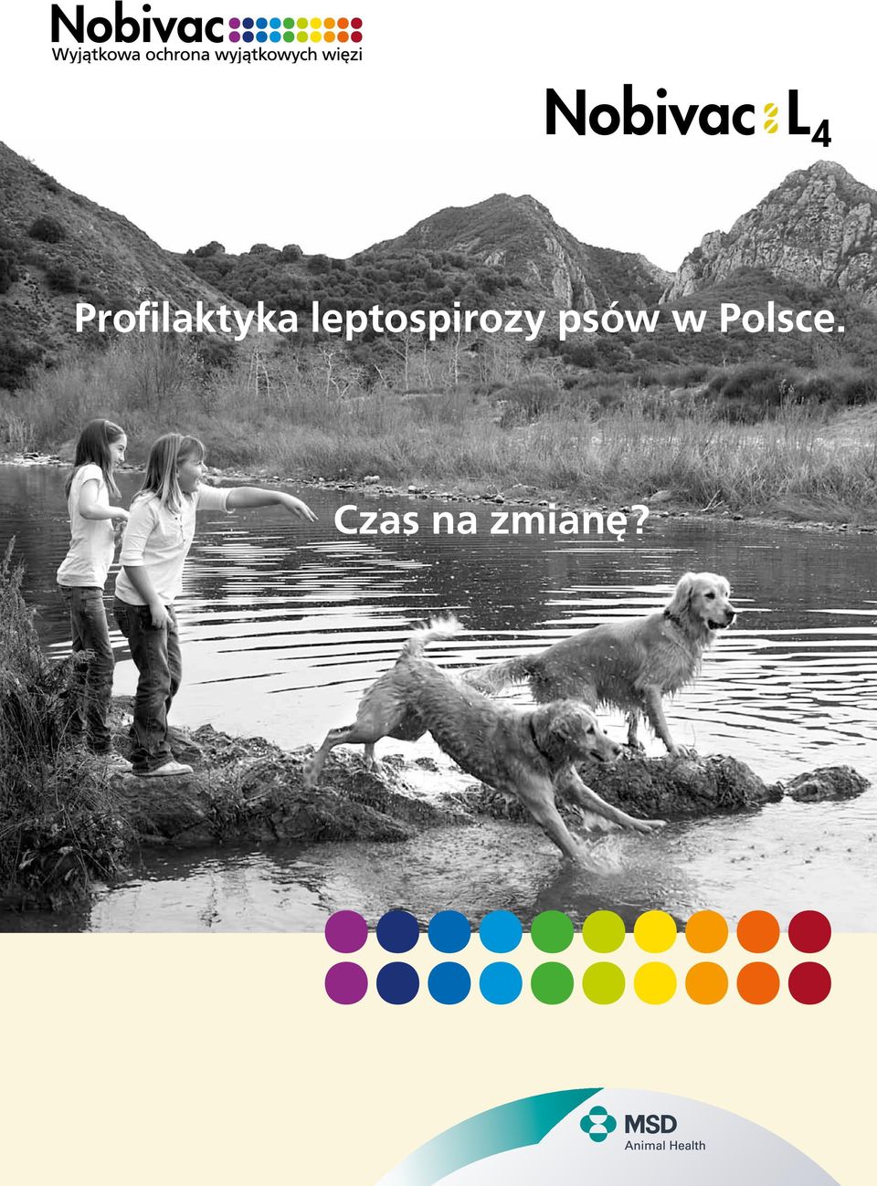 psów w Polsce.