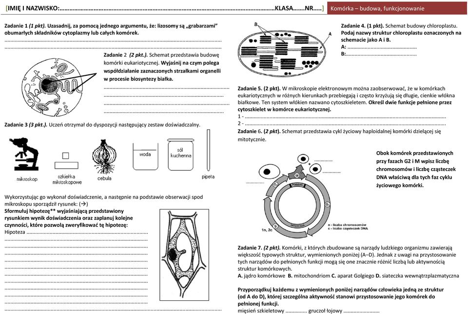 Zadanie 4. (1 pkt). Schemat budowy chloroplastu. Podaj nazwy struktur chloroplastu oznaczonych na schemacie jako A i B. A:... B:... Zadanie 5. (2 pkt).