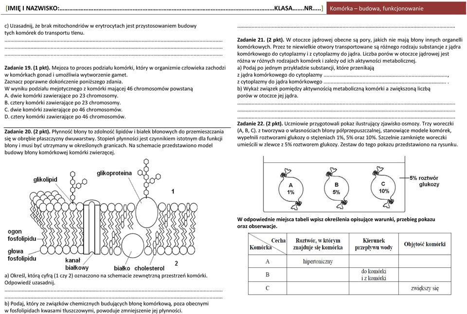 W wyniku podziału mejotycznego z komórki mającej 46 chromosomów powstaną A. dwie komórki zawierające po 23 chromosomy. B. cztery komórki zawierające po 23 chromosomy. C.