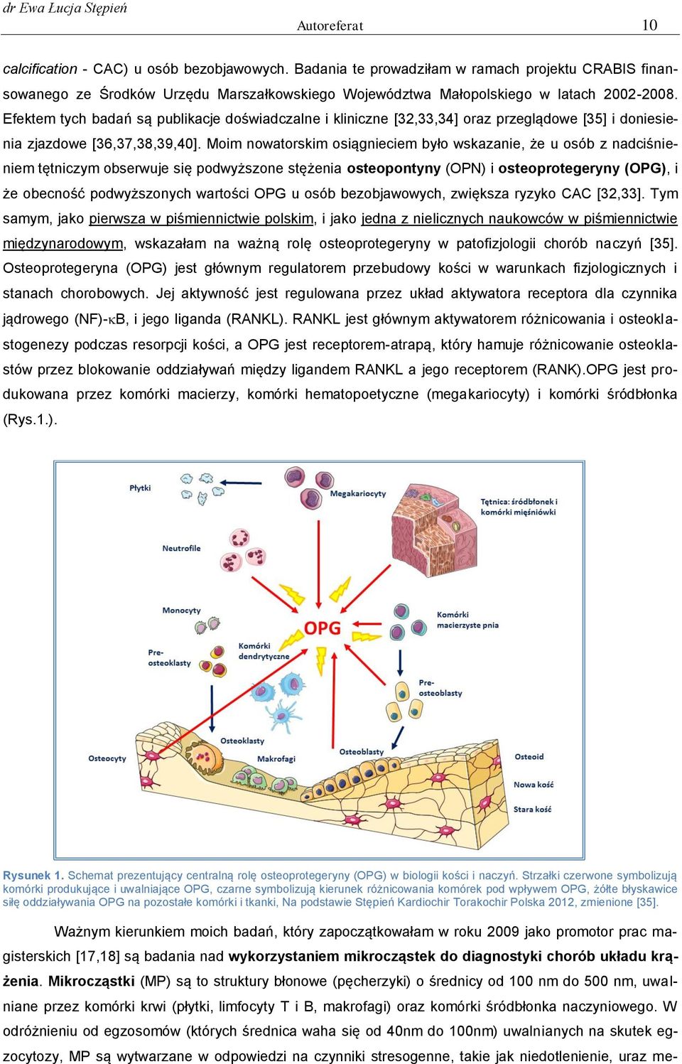 Moim nowatorskim osiągnieciem było wskazanie, że u osób z nadciśnieniem tętniczym obserwuje się podwyższone stężenia osteopontyny (OPN) i osteoprotegeryny (OPG), i że obecność podwyższonych wartości