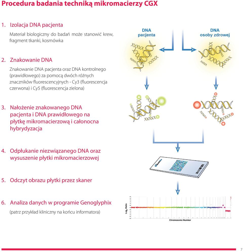 Cy5 (fluorescencja zielona) 3. Nałożenie znakowanego DNA pacjenta i DNA prawidłowego na płytkę mikromacierzową i całonocna hybrydyzacja 4.