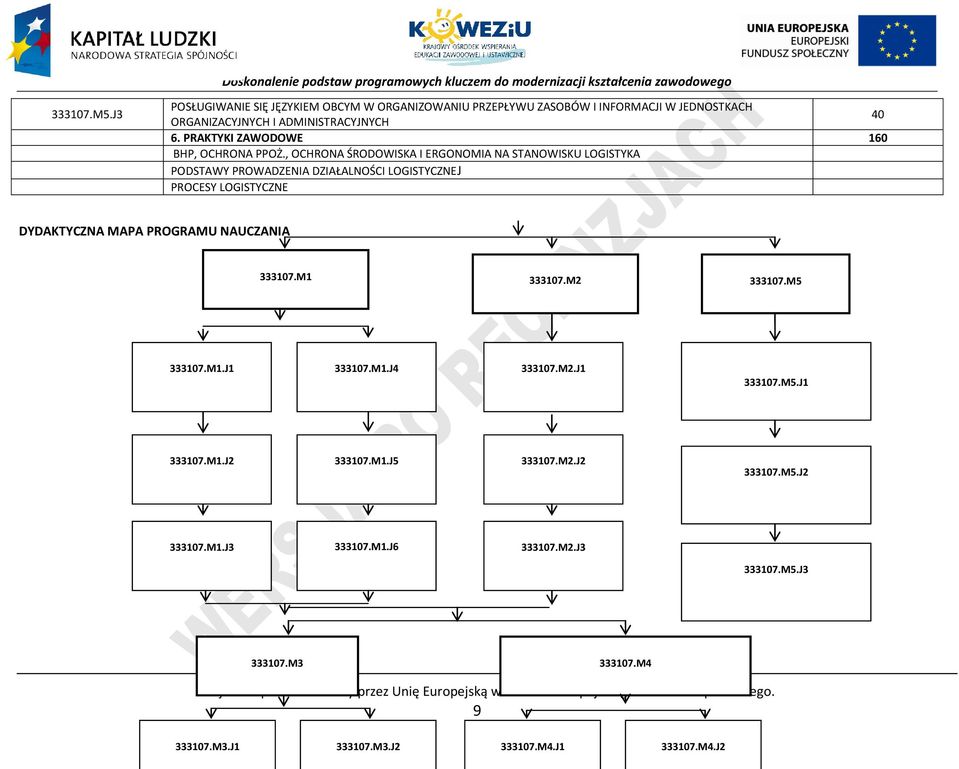 , OHRONA ŚRODOWISKA I ERGONOMIA NA STANOWISKU LOGISTYKA ODSTAWY ROWADZENIA DZIAŁALNOŚI LOGISTYZNEJ ROESY LOGISTYZNE DYDAKTYZNA MAA ROGRAMU NAUZANIA 333107.M1 333107.