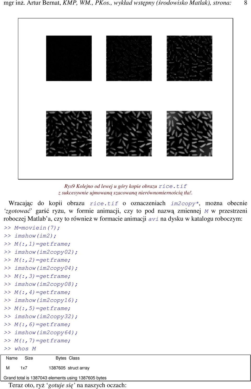 tif o oznaczeniach im2copy*, mona obecnie zgotowa gar ryu, w formie animacji, czy to pod nazw zmiennej M w przestrzeni roboczej Matlab a, czy to równie w formacie animacji avi na dysku w katalogu